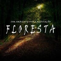 Som Ambiente para Meditação: Floresta