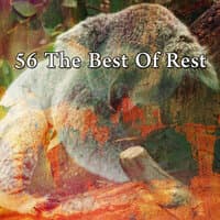 56 The Best Of Rest