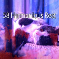 58 Harmonious Rest