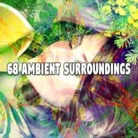 68 Ambient Surroundings