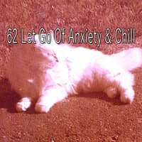 62 Let Go of Anxiety & Chill