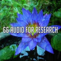 66 Audio for Research