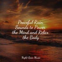 Peaceful Rain Sounds to Power the Mind and Relax the Body