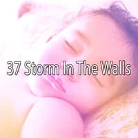 37 Storm in the Walls