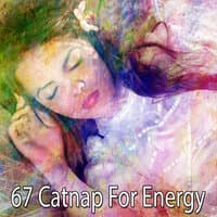 67 Catnap for Energy