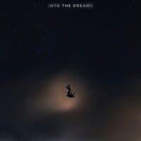 Into the Dreams