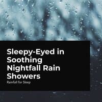 Sleepy-Eyed in Soothing Nightfall Rain Showers