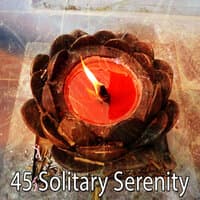 45 Solitary Serenity