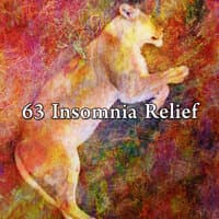 63 Insomnia Relief