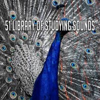 51 Library of Studying Sounds