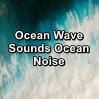 Ocean Wave Sounds Ocean Noise