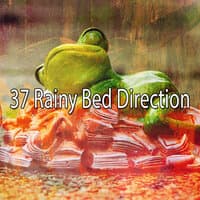 37 Rainy Bed Direction