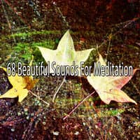 68 Beautiful Sounds for Meditation