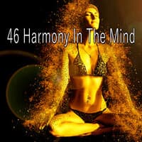 46 Harmony in the Mind