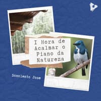 1 Hora de Acalmar o Piano da Natureza