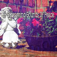 49 Streaming Sounds of Peace