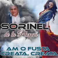 Am O Fusta Creata, Creata