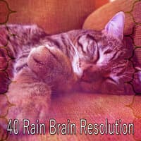 40 Rain Brain Resolution