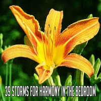 39 Storms for Harmony in the Bedroom