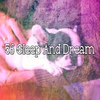 56 Sleep and Dream