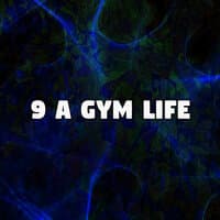 9 A Gym Life