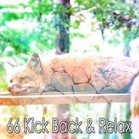 66 Kick Back & Relax