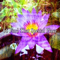 66 Find That Special Place