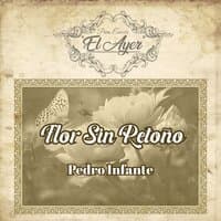 Para Evocar el Ayer / Flor Sin Retoño