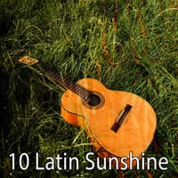 10 Latin Sunshine