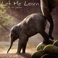 Let Me Learn (Music for the Intellect)