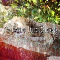 75 Ease into Sle - EP