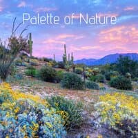 Palette of Nature