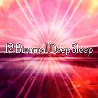 12 Binaural Deep Sle - EP