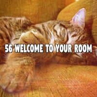 56 Welcome to Your Room