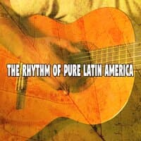 The Rhythm of Pure Latin America