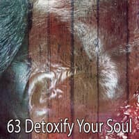 63 Detoxify Your Soul