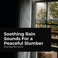 Soothing Rain Sounds for a Peaceful Slumber