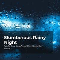 Slumberous Rainy Night