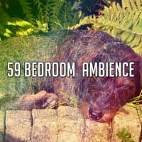 59 Bedroom Ambience