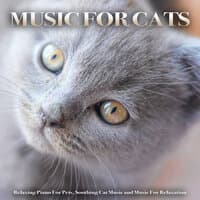 Music For Cats: Relaxing Piano For Pets, Soothing Cat Music and Music For Relaxation