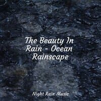 The Beauty In Rain - Ocean Rainscape