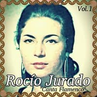 Rocío Jurado - Canta Flamenco, Vol. 1