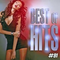 Best Of Hits Vol. 91