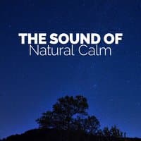 The Sound of Natural Calm