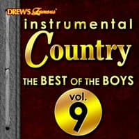 Instrumental Country: The Best of the Boys, Vol. 9