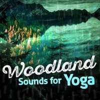 Woodland Sounds for Yoga