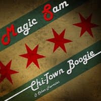 Chi-Town Boogie & Other Favorites