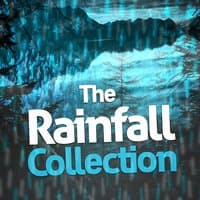 The Rainfall Collection