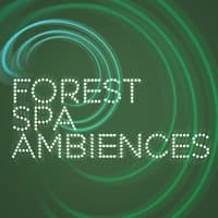 Forest Spa Ambiences