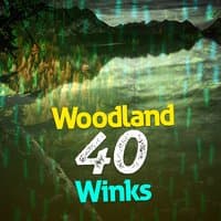 Woodland: 40 Winks